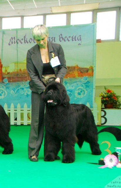 Фотография № 91417