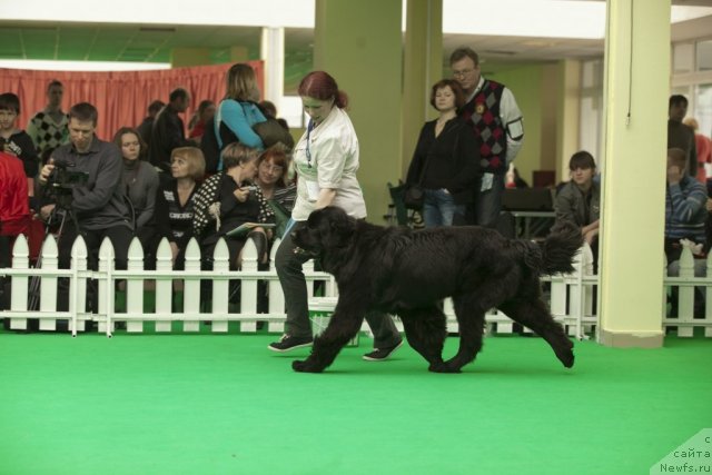 Фотография № 91422