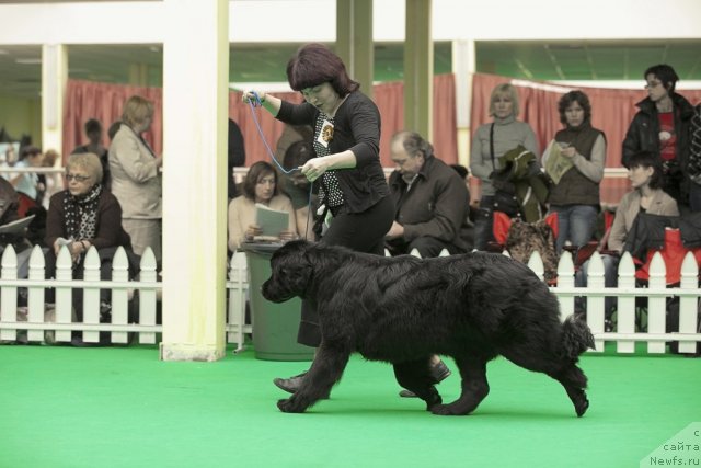 Фотография № 91423