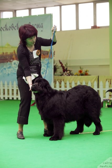 Фотография № 91424