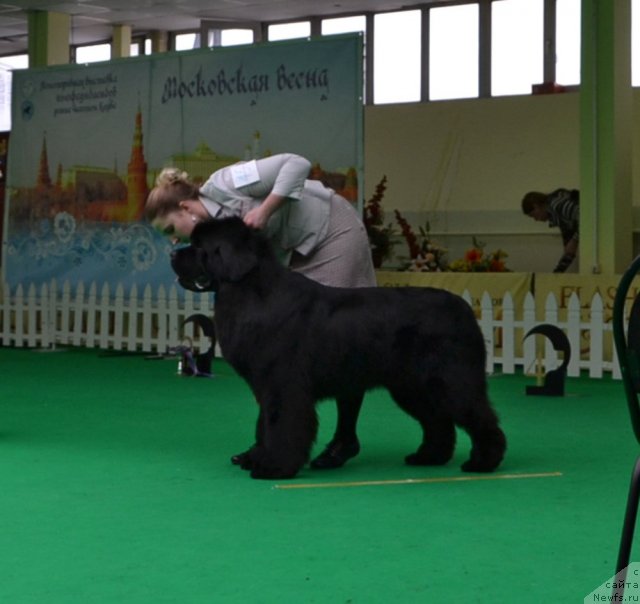 Фотография № 91426