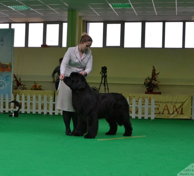 Фотография № 91429