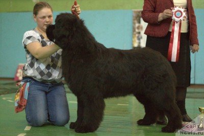 Фотография № 91435