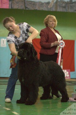 Фотография № 91436