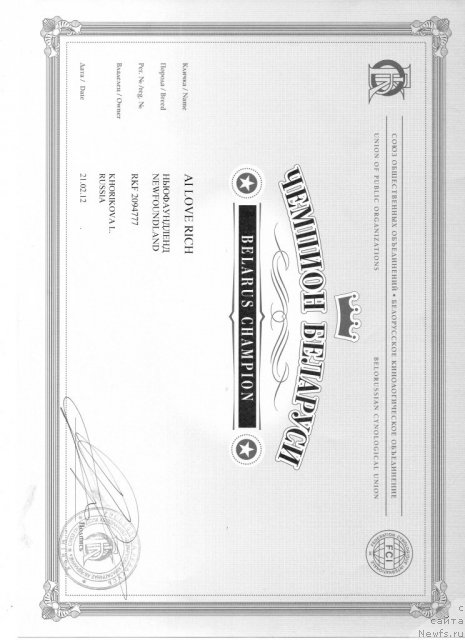 Фото: ньюфаундленд Ai Love Rich (Ай Лав Рич)