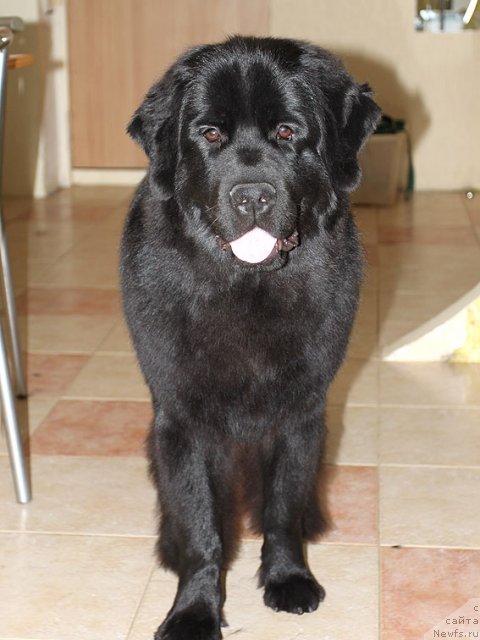 Фотография № 91448