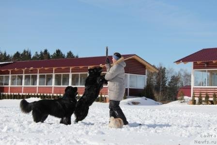 Фотография № 91452