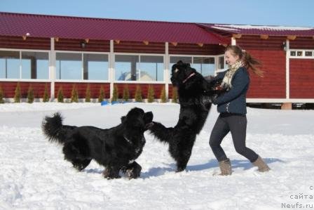 Фотография № 91455