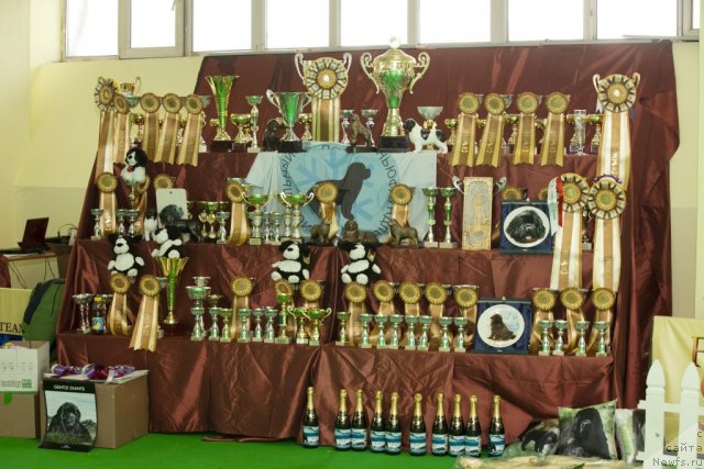 Фотография № 91460