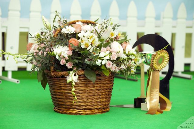 Фотография № 91461