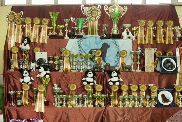 Фотография № 91464