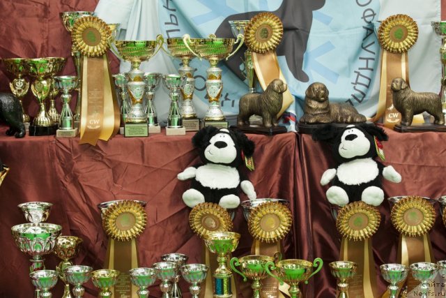 Фотография № 91465