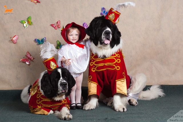 Фотография № 91485