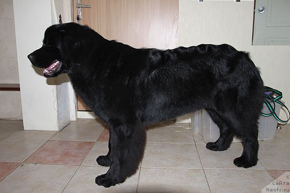 Фотография № 91487