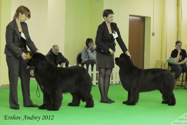 Фотография № 91494