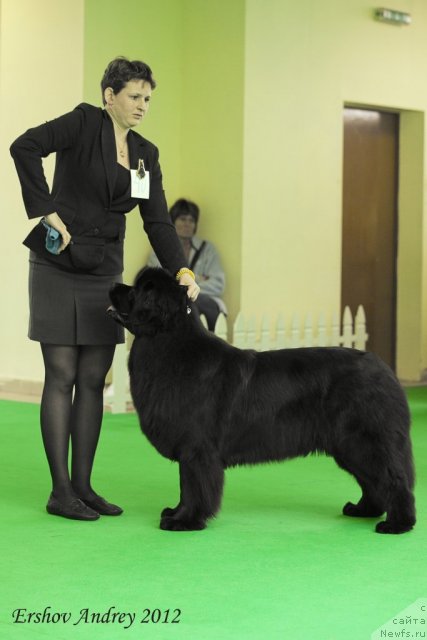 Фотография № 91495