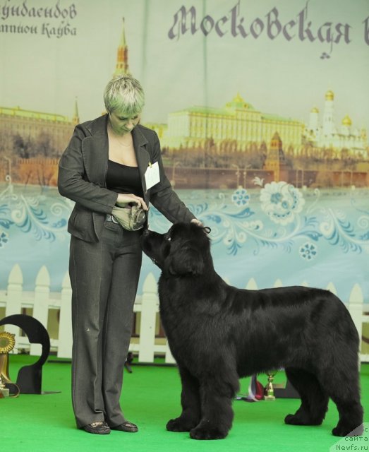 Фотография № 91496