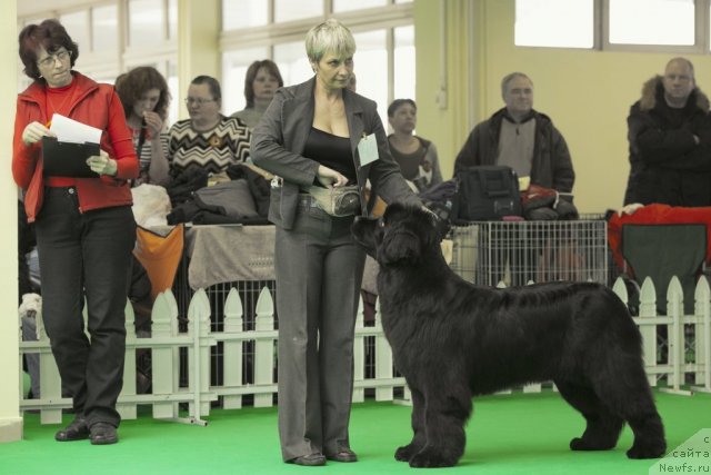 Фотография № 91497