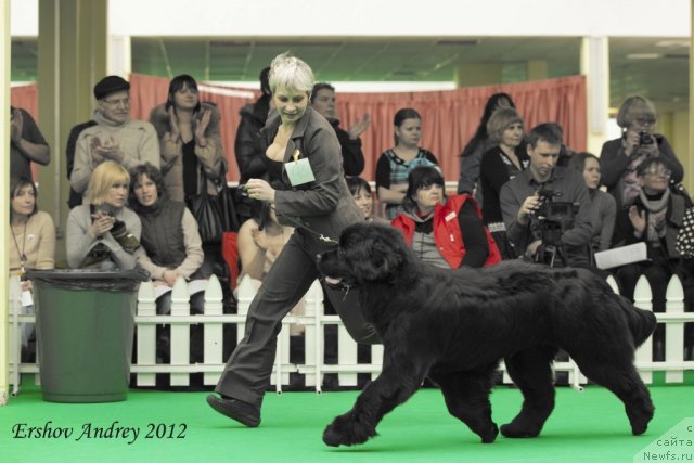 Фотография № 91498