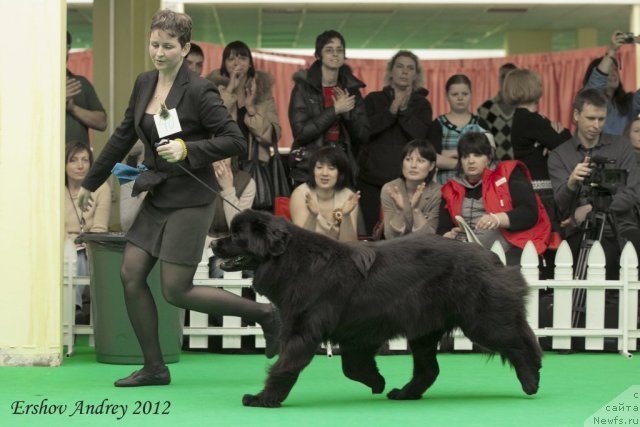 Фотография № 91499