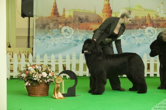 Фотография № 91504