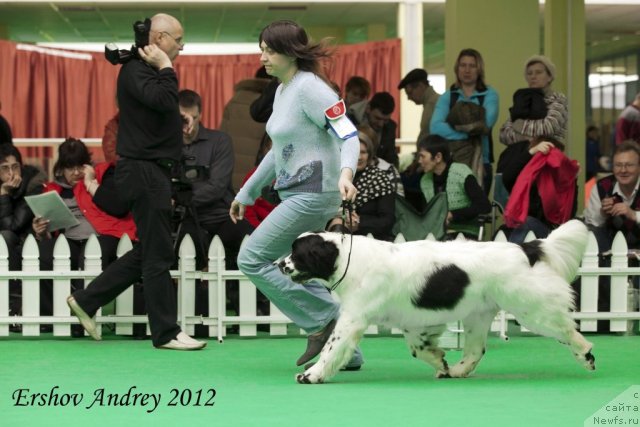 Фотография № 91506