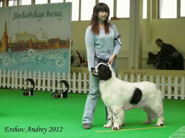 Фотография № 91507