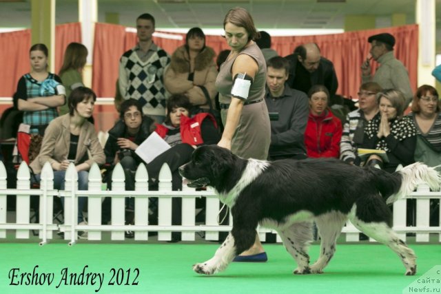 Фотография № 91508