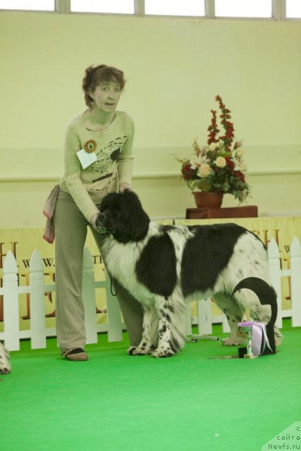 Фотография № 91509