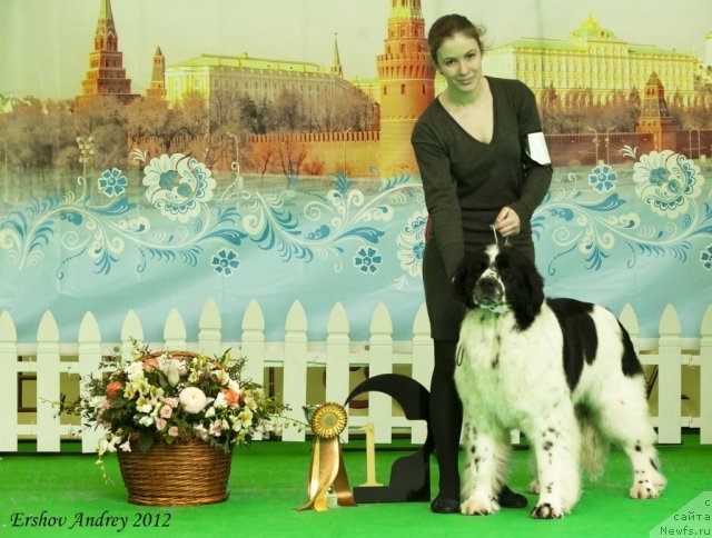 Фотография № 91510