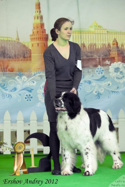 Фотография № 91512