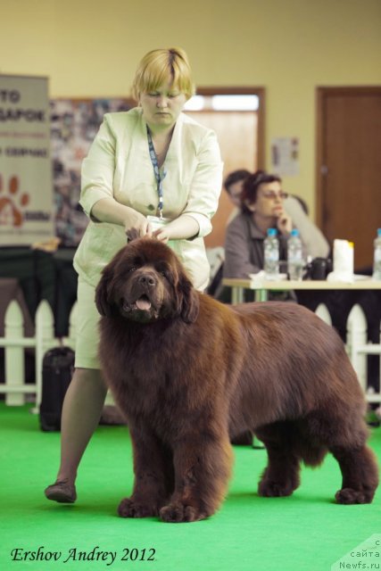 Фотография № 91514