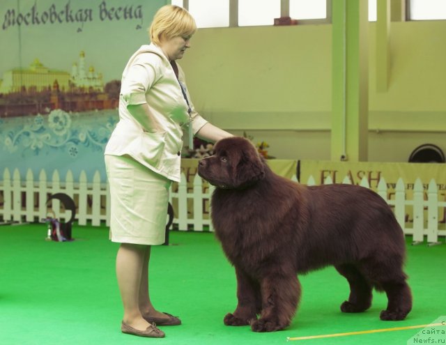 Фотография № 91518