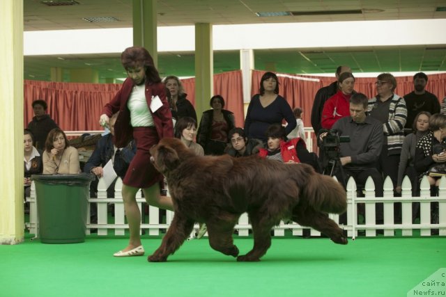 Фотография № 91521