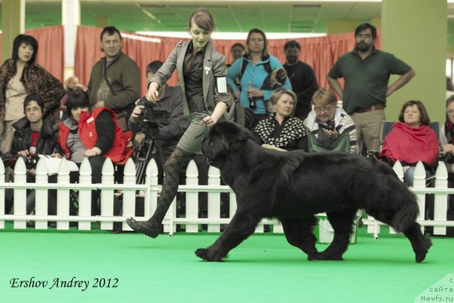 Фотография № 91526