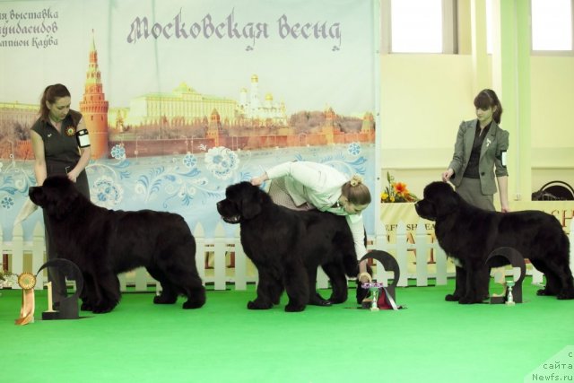 Фотография № 91528