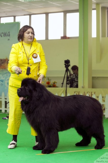 Фотография № 91532