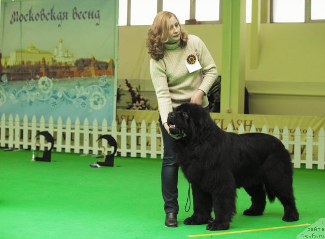 Фотография № 91534