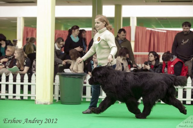 Фотография № 91535