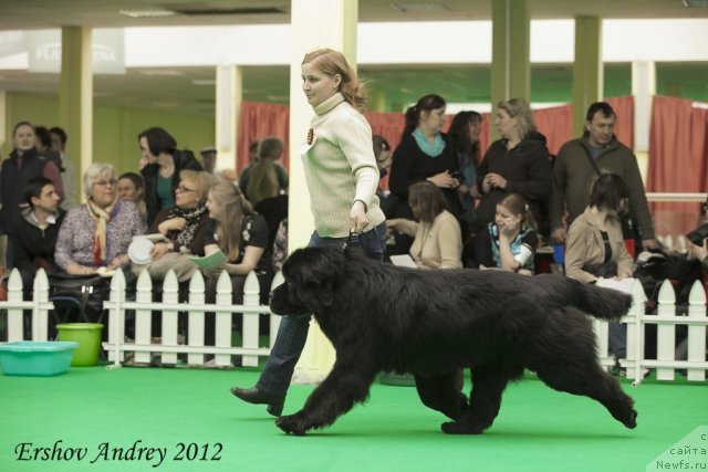 Фотография № 91536