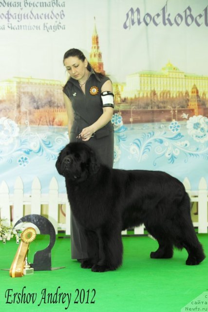 Фотография № 91542