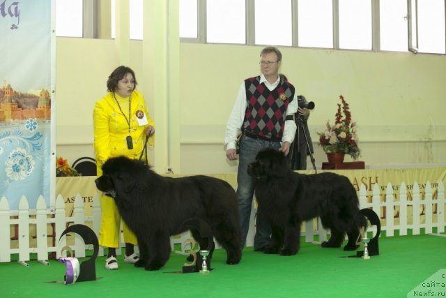 Фотография № 91543