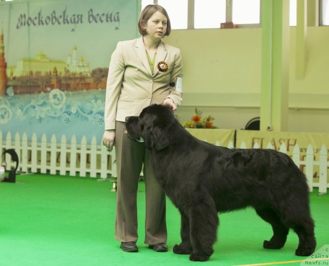 Фотография № 91547