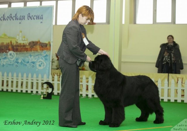 Фотография № 91549