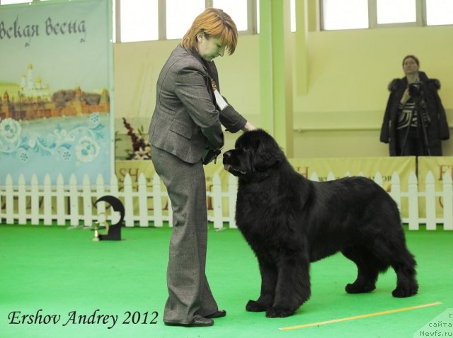 Фотография № 91550