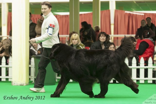 Фотография № 91551