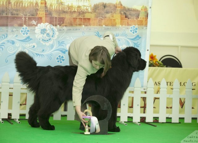 Фотография № 91552