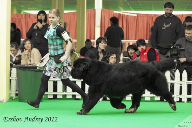 Фотография № 91554