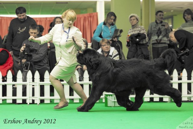 Фотография № 91556