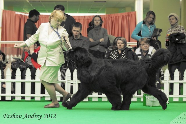 Фотография № 91557